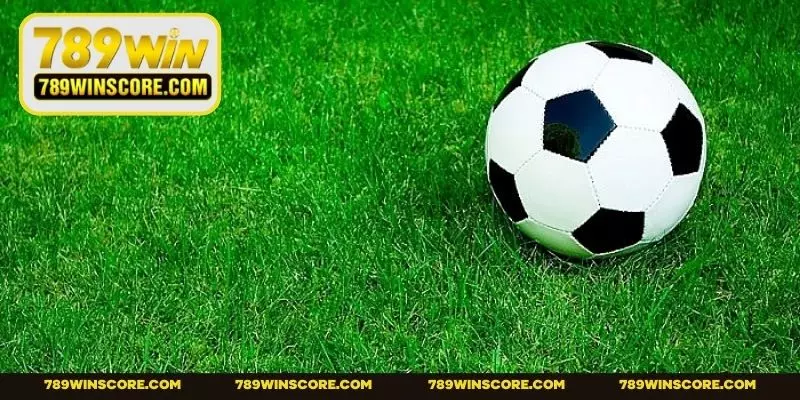 Chi tiết cách bắt tay vào cuộc chơi