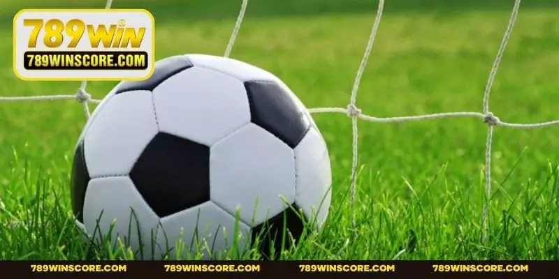 Giải thích cách tham gia kèo rung là gì cho người mới