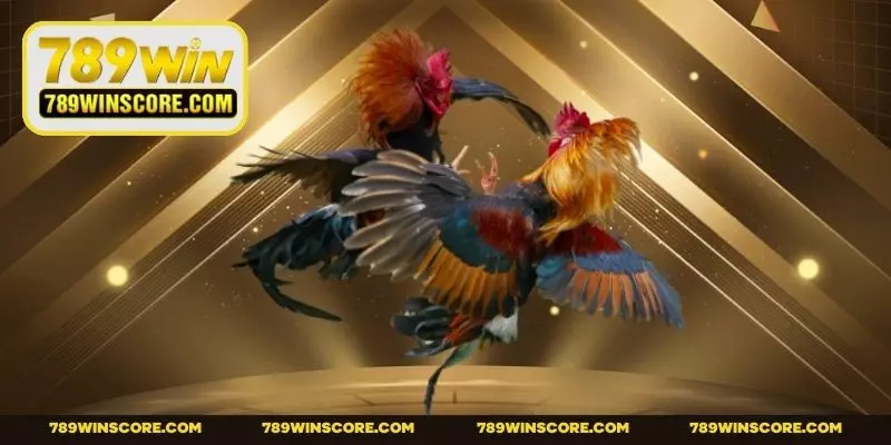 Phân định thắng bại dễ hiểu trong màn so tài